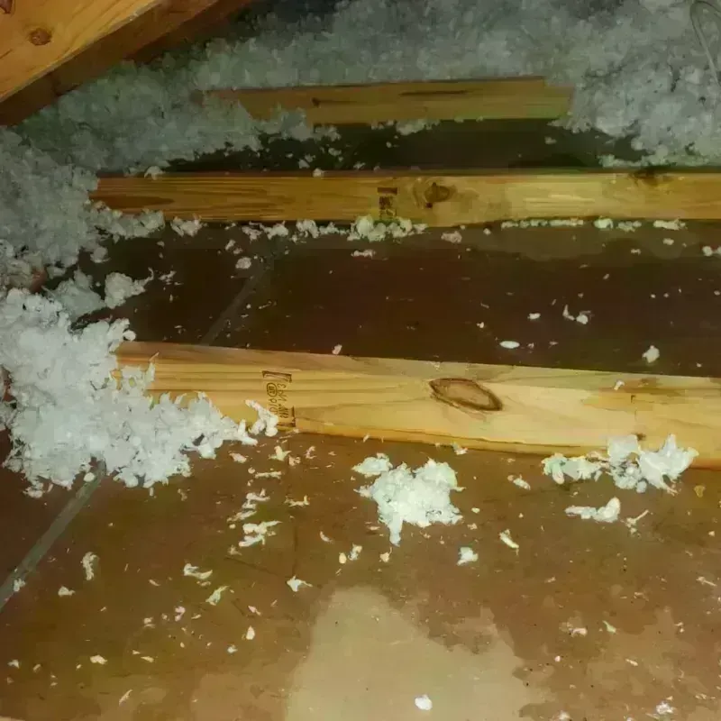 Attic Water Damage in Yorkshire, NY