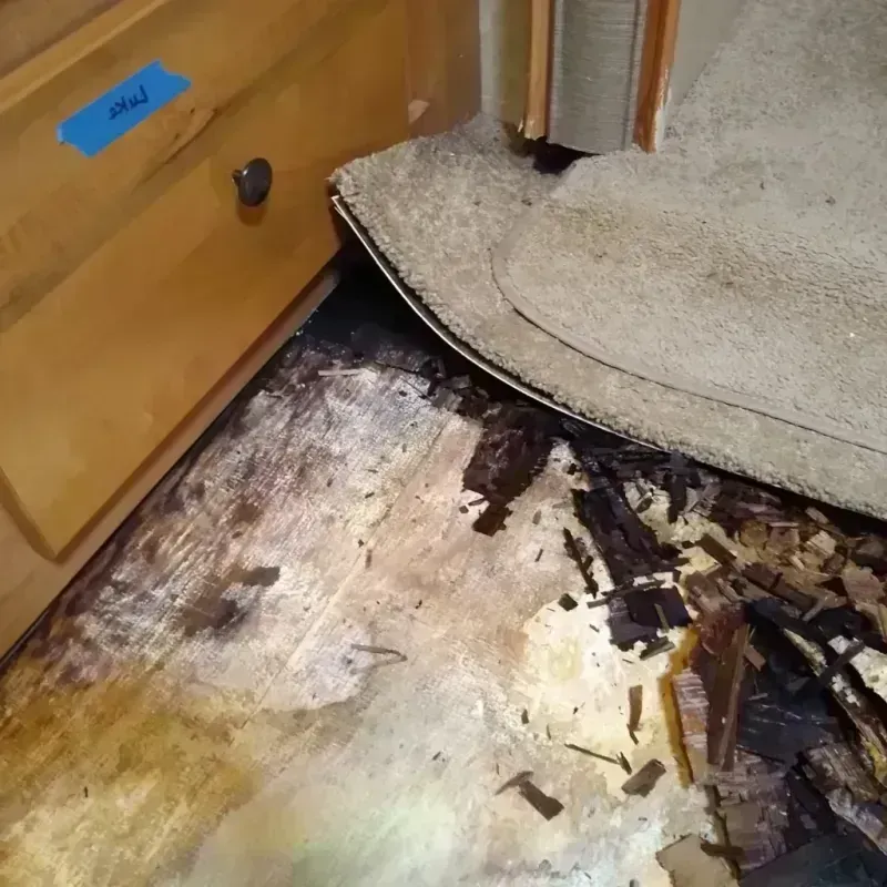 Best Wood Floor Water Damage Service in Yorkshire, NY